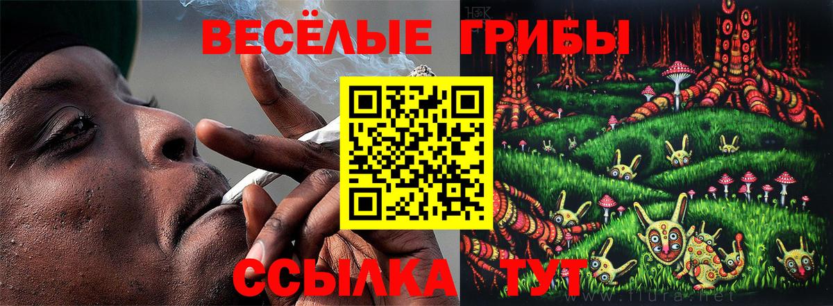Псилоцибиновые грибы Cubensis Ревда